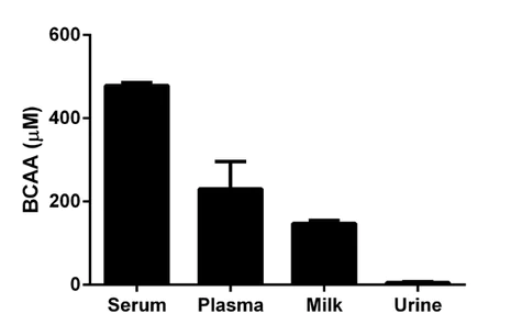 abcam Branched Chain Amino Acid Assay Kit / BCAA Assay Kit