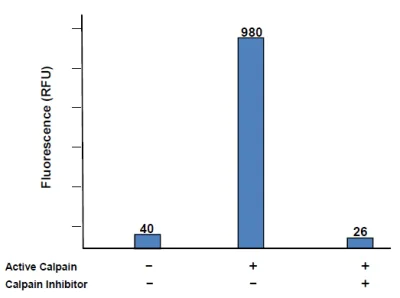 abcam Calpain Activity Assay Kit