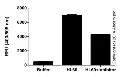 abcam Cathepsin B Activity Assay Kit (Fluorometric)