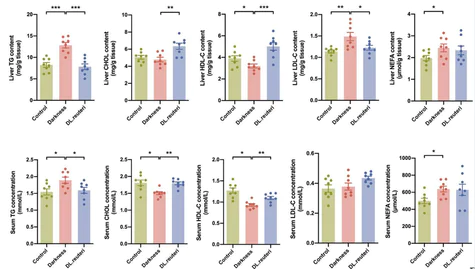 abcam Cholesterol Assay Kit - HDL and LDL/VLDL