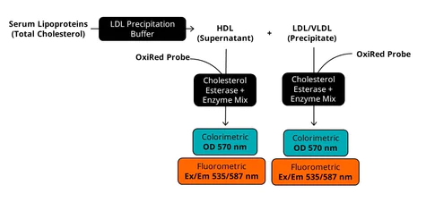 abcam Cholesterol Assay Kit - HDL and LDL/VLDL