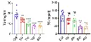 abcam Cholesterol Assay Kit - HDL and LDL/VLDL