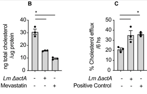abcam Cholesterol Efflux Assay Kit (Cell-based)
