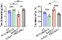abcam Cholesterol Efflux Assay Kit (Cell-based)