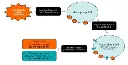 abcam Cholesterol Efflux Assay Kit (Cell-based)