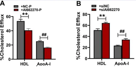 abcam Cholesterol Efflux Assay Kit (Cell-based)