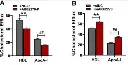 abcam Cholesterol Efflux Assay Kit (Cell-based)