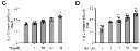 abcam Cholesterol Efflux Assay Kit (Cell-based)