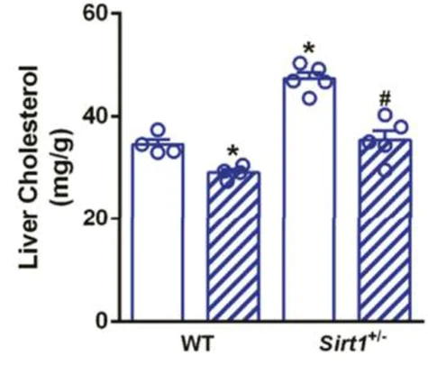 abcam Cholesterol/ Cholesteryl Ester Assay Kit - Quantitation