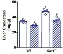 abcam Cholesterol/ Cholesteryl Ester Assay Kit - Quantitation