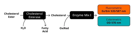 abcam Cholesterol/ Cholesteryl Ester Assay Kit - Quantitation