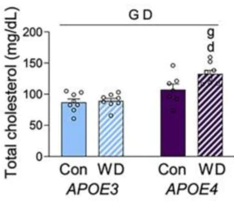 abcam Cholesterol/ Cholesteryl Ester Assay Kit - Quantitation