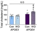 abcam Cholesterol/ Cholesteryl Ester Assay Kit - Quantitation