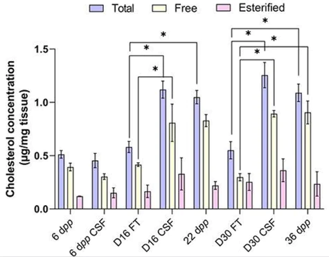 abcam Cholesterol/ Cholesteryl Ester Assay Kit - Quantitation