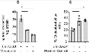 abcam Cholesterol/ Cholesteryl Ester Assay Kit - Quantitation