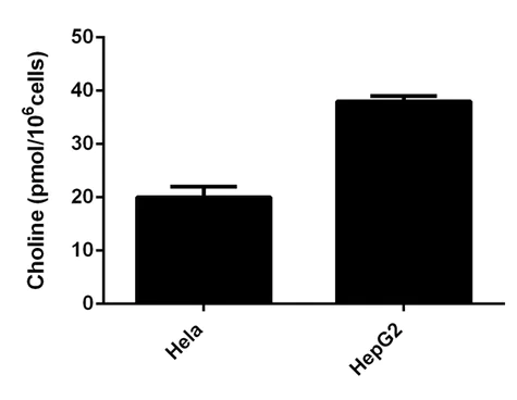 abcam Choline/Acetylcholine Assay Kit