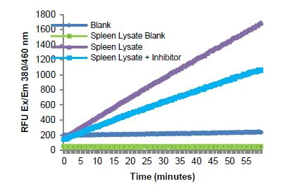 abcam Chymotrypsin Assay Kit (Fluorometric)