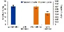 abcam Chymotrypsin Assay Kit (Fluorometric)