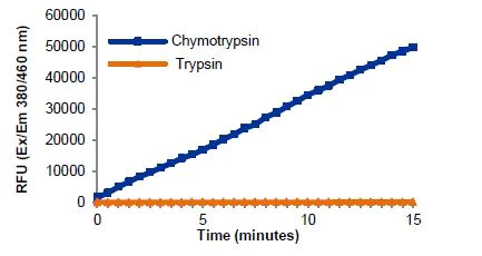 abcam Chymotrypsin Assay Kit (Fluorometric)