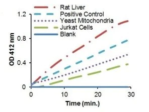 abcam Citrate Synthase Assay Kit