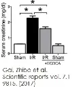 abcam Creatinine Assay Kit