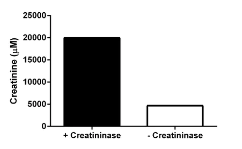 abcam Creatinine Assay Kit