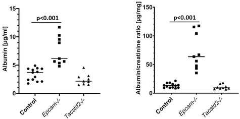 abcam Creatinine Assay Kit