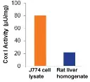 abcam Cyclooxygenase (COX) Activity Assay Kit (Fluorometric)
