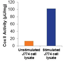 abcam Cyclooxygenase (COX) Activity Assay Kit (Fluorometric)