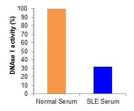 abcam DNase I Assay Kit (Fluorometric)