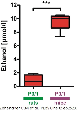abcam Ethanol Assay Kit