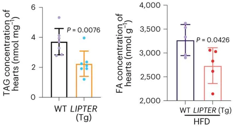 abcam Free Fatty Acid Assay Kit - Quantification