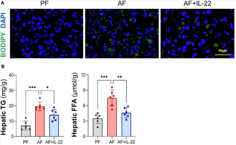 abcam Free Fatty Acid Assay Kit - Quantification