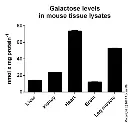 abcam Galactose Assay Kit