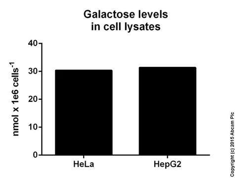 abcam Galactose Assay Kit