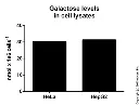 abcam Galactose Assay Kit