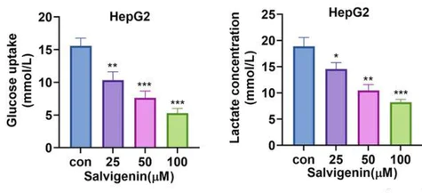 abcam Glucose Assay Kit