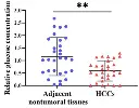 abcam Glucose Assay Kit
