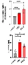 abcam Glucose Assay Kit