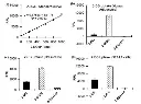 abcam Glucose Uptake Assay Kit (Fluorometric)