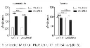 abcam Glutamate Assay Kit
