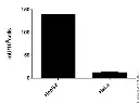 abcam Glutamate Dehydrogenase Activity Assay Kit