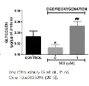 abcam Glycogen Assay Kit