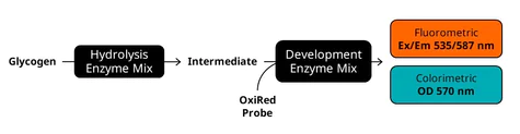 abcam Glycogen Assay Kit