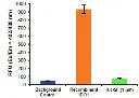 abcam Indoleamine 2,3-Dioxygenase 1 (IDO1) Activity Assay Kit
