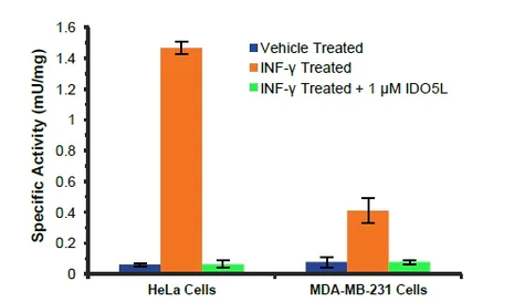 abcam Indoleamine 2,3-Dioxygenase 1 (IDO1) Activity Assay Kit
