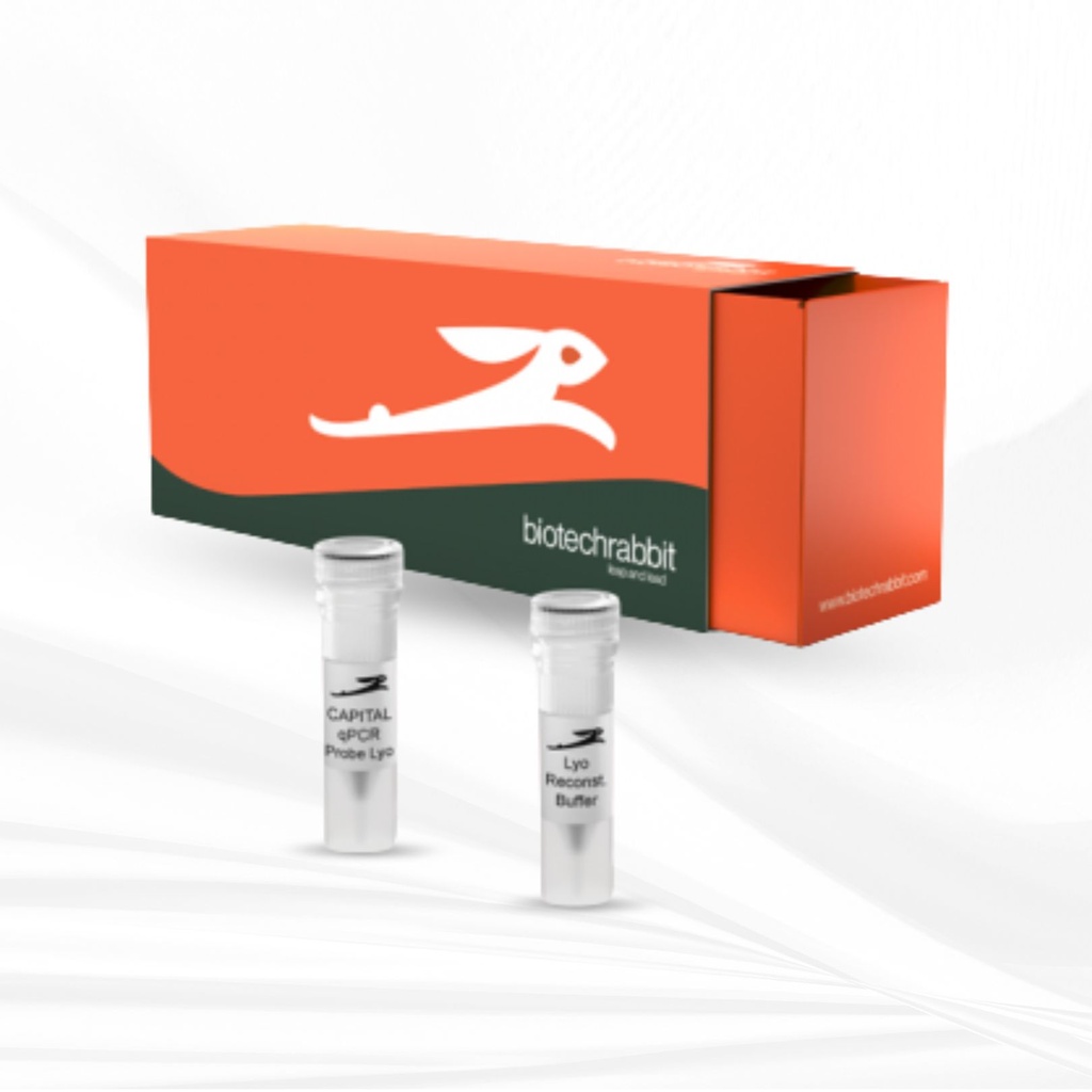 biotechrabbit 4X CAPITAL™ qPCR Probe Master Mix, lyophilized