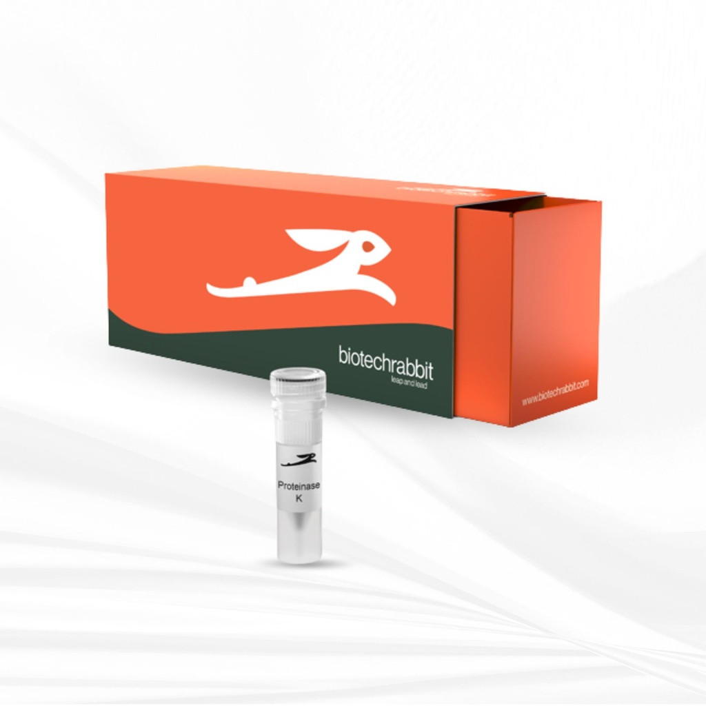 biotechrabbit Proteinase K, lyophilized