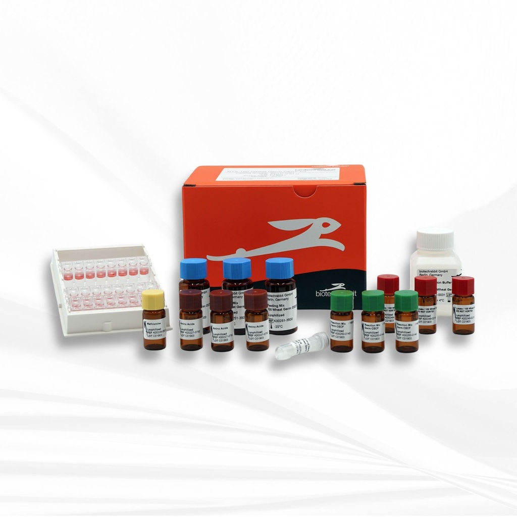 biotechrabbit RTS 100 Wheat Germ CECF Kit