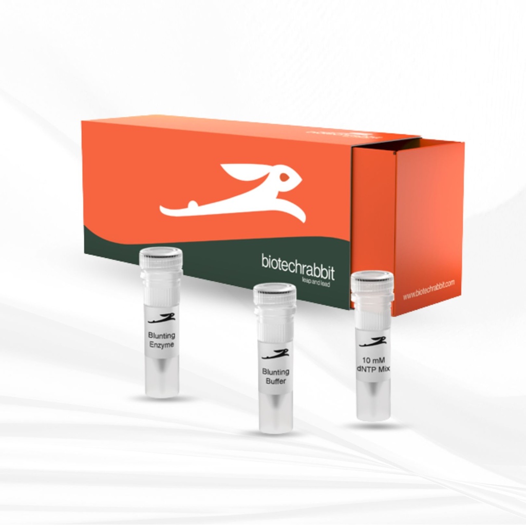 biotechrabbit DNA Blunting Kit